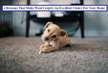 4 Reasons That Make Wool Carpets An Excellent Choice For Your Home