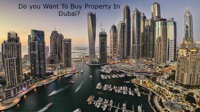 Do you Want To Buy Property In Dubai