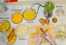How to Moms Easily Make Baby Food At Home