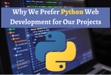 Why We Prefer Python Web Development for Our Projects